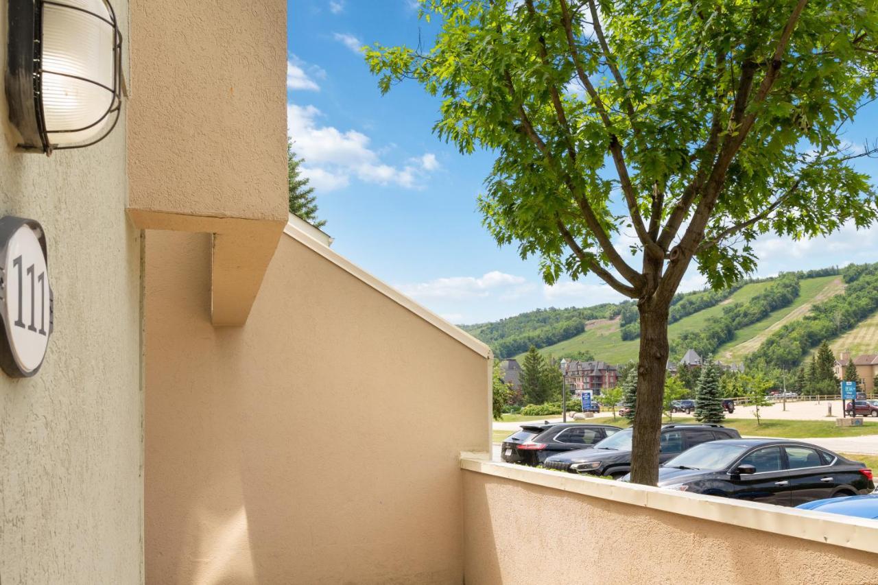 Lovely 3 Bedroom Wintergreen Retreat W Sauna Montanhas Azuis Exterior foto