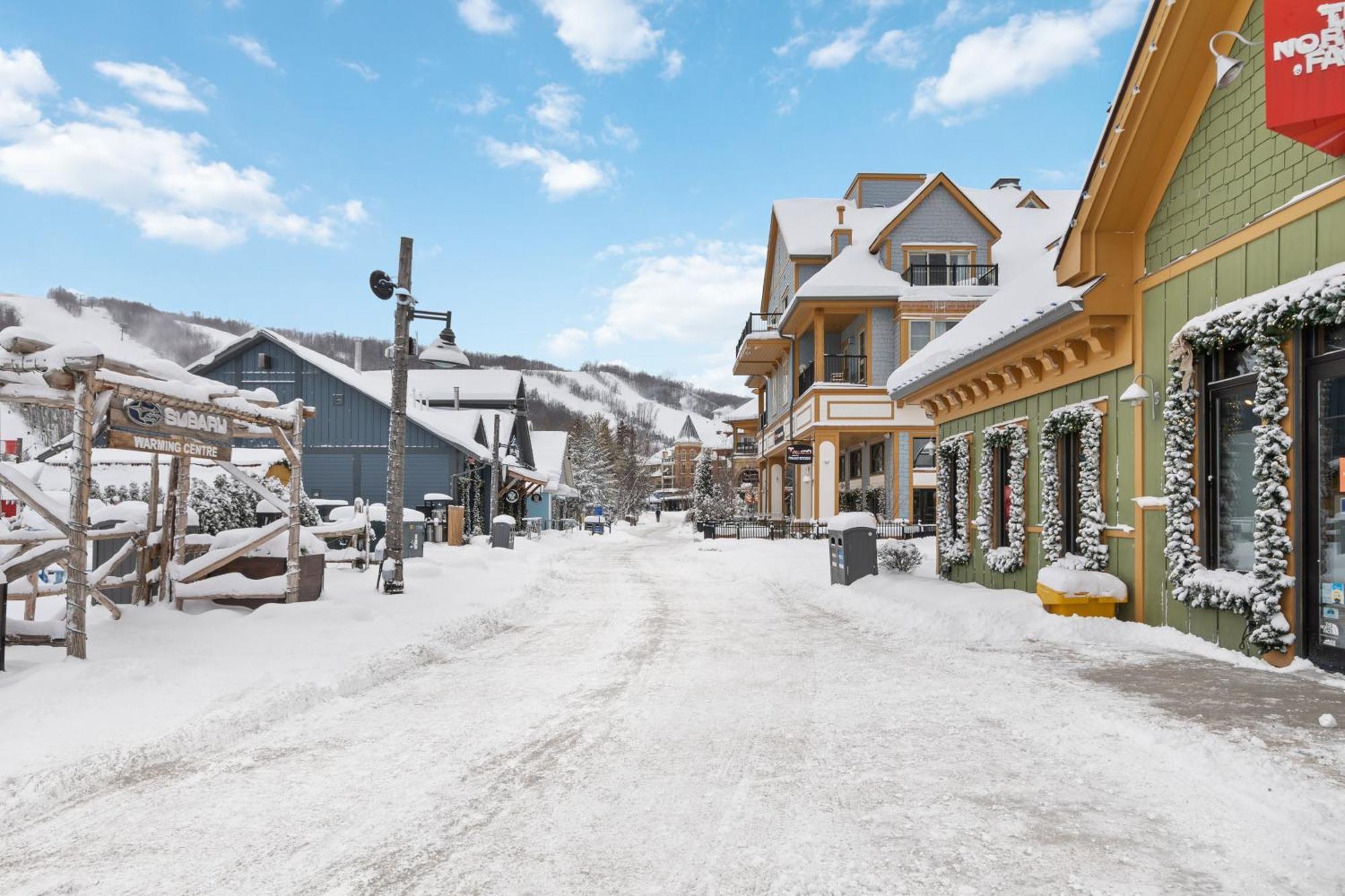 Lovely 3 Bedroom Wintergreen Retreat W Sauna Montanhas Azuis Exterior foto